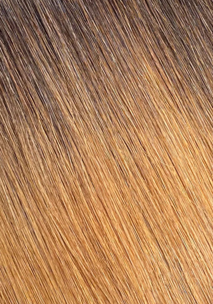 Silk Seam Clip-Ins 22" 240g